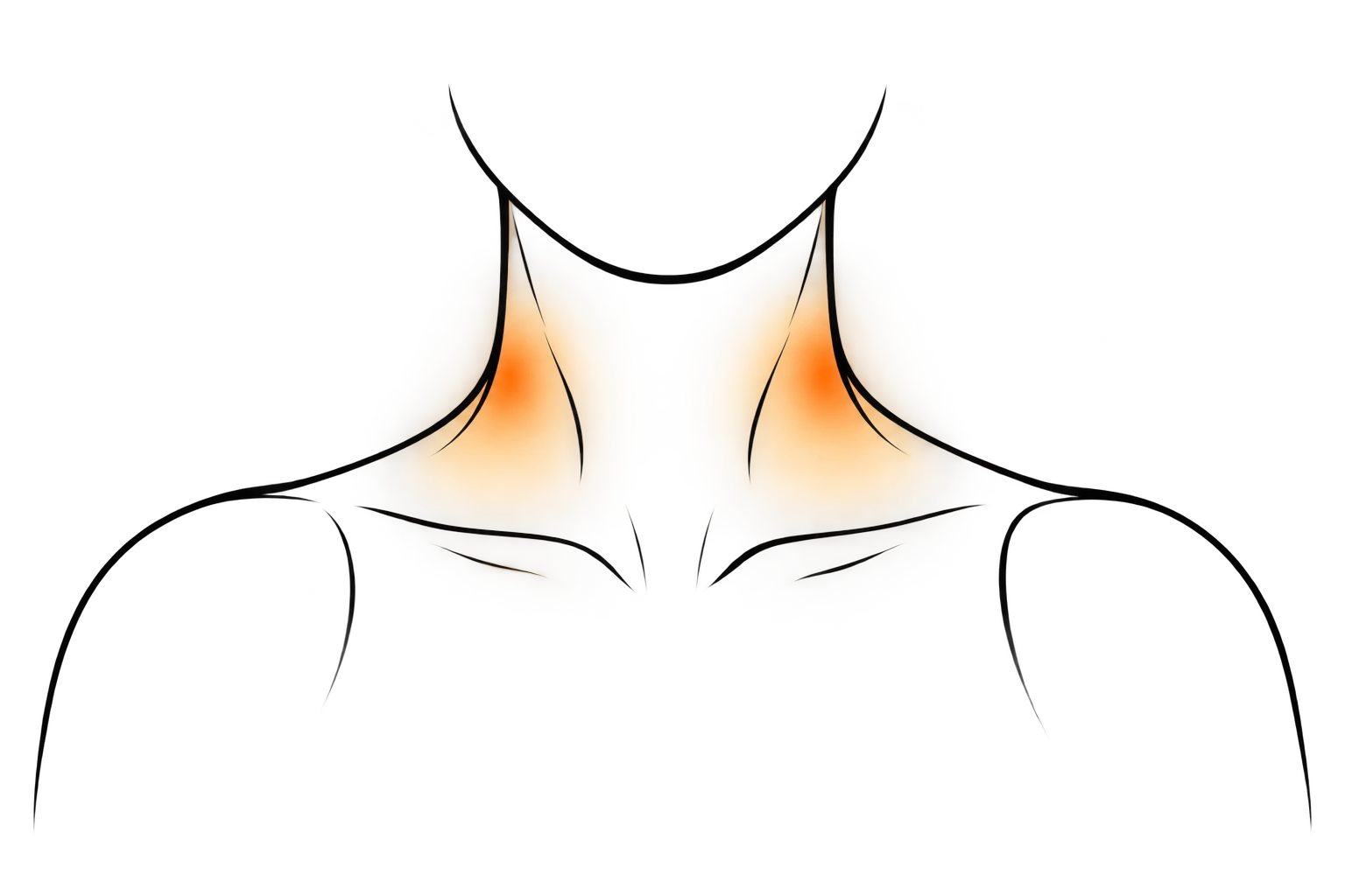 Neck Glow Anatomy Diagram